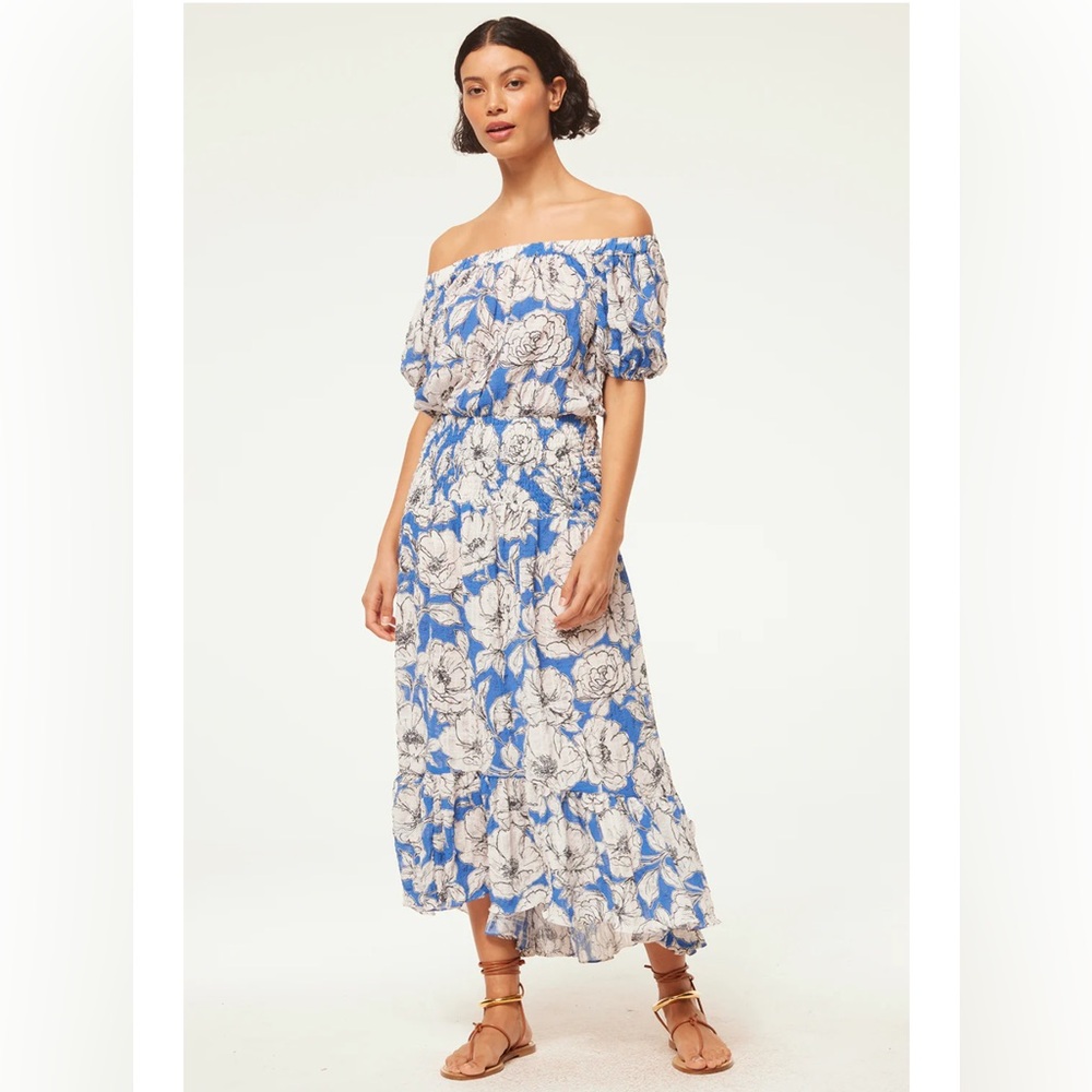 Misa Los Angeles Paola Floral Blue and White Maxi Dress Size Small